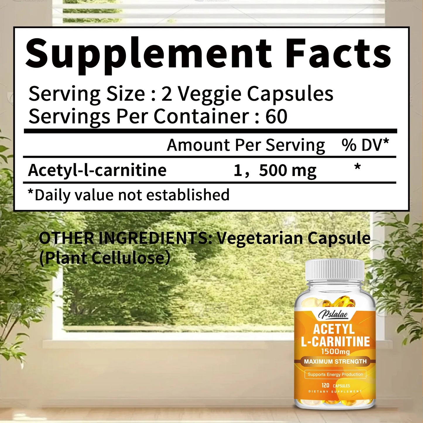 Acetyl L-Carnitine Capsules - Supports Memory Focus, Increase Body Performance, Metabolic Energy - 120 Capsules